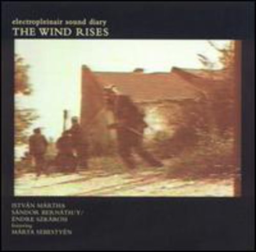 Electropleinair Sound Diary - Wind Rises