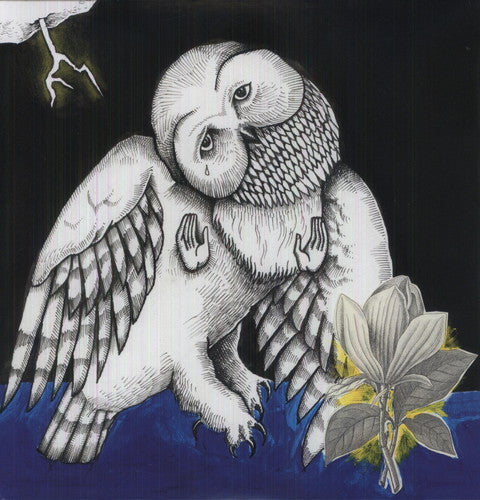Songs: Ohia - Magnolia Electric Co.