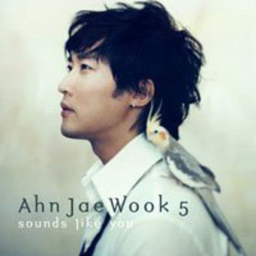 Wook Ahn - Sounds Like You