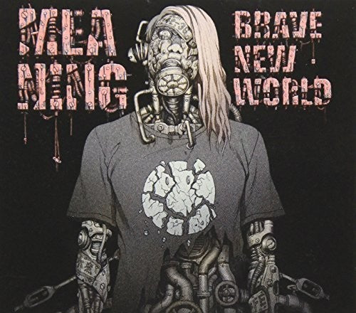 Meaning - Brave New World