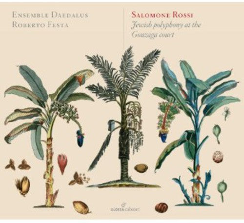 Rossi/ Festa/ Ensemble Deadalus - Jewish Polyphony at the Gonzaga Court