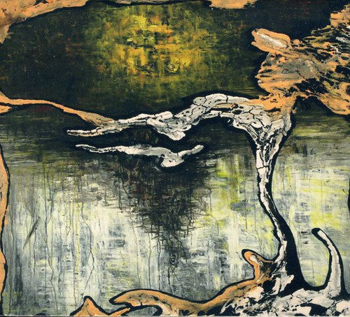 Julian Lynch - Terra