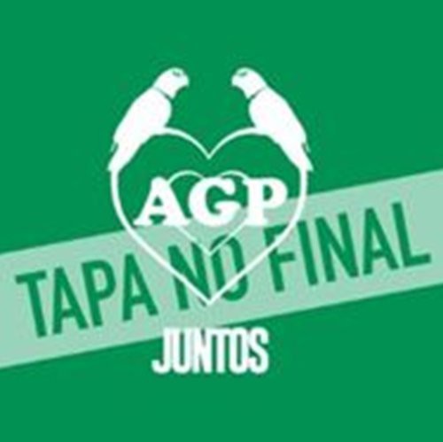 Agapornis - Juntos