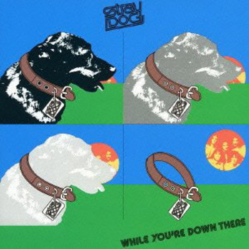 Stray Dog - While You're Down There