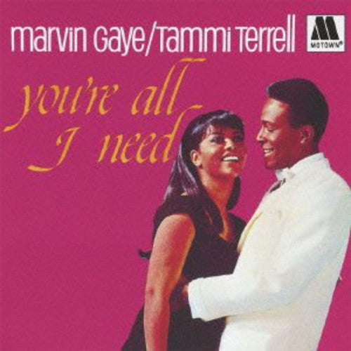 Marvin Gaye - You're All I Need