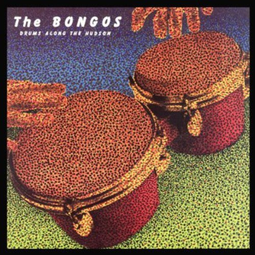 Bongos - Drums Along the Hudson
