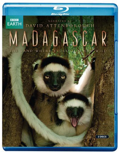 Madagascar: Land Where Evolution Ran Wild