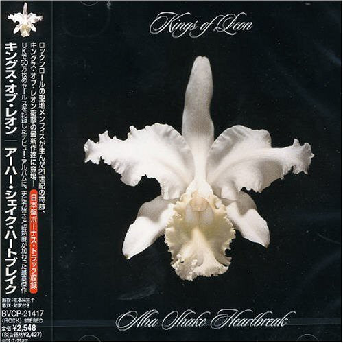 Kings of Leon - Aha Shake Heartbreak