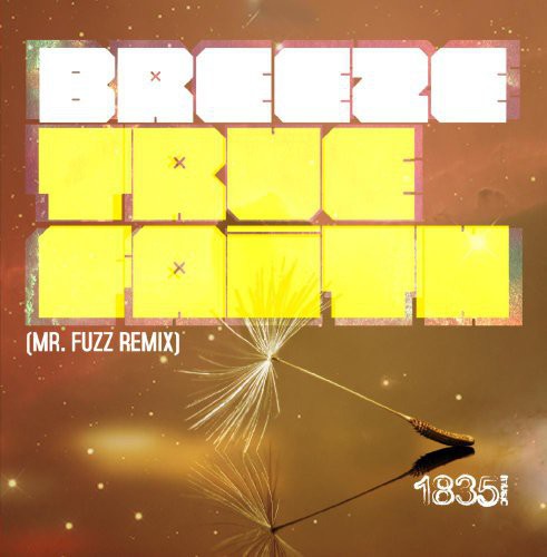 Breeze - True Faith