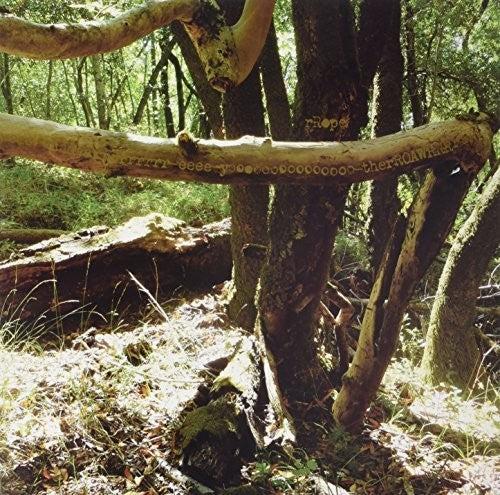 rRope - We Are You There