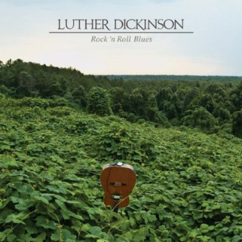Luther Dickinson - Rock N Roll Blues
