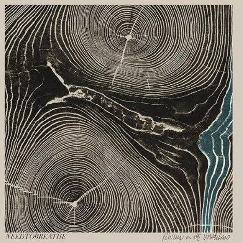 Needtobreathe - Rivers in the Wasteland