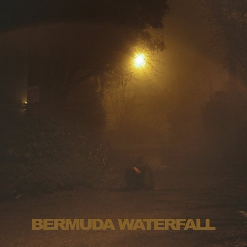 Sean Savage Nicholas - Bermuda Waterfall