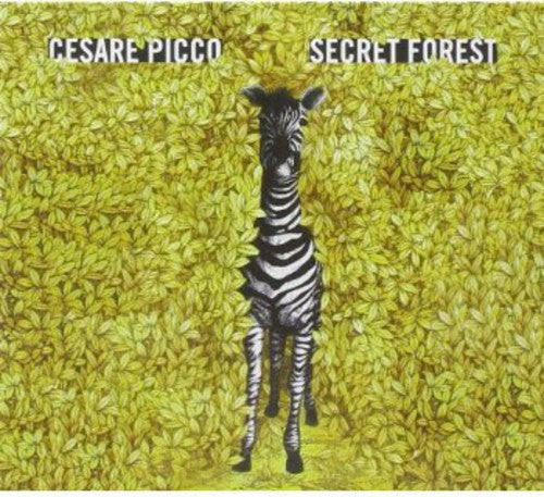 Picco - Secret Forest