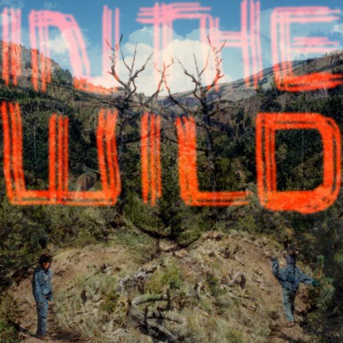 Falty Dl - In the Wild