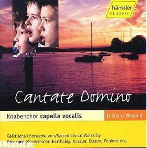 Serafini/ Il Viaggio Musicale - Cantate Domino