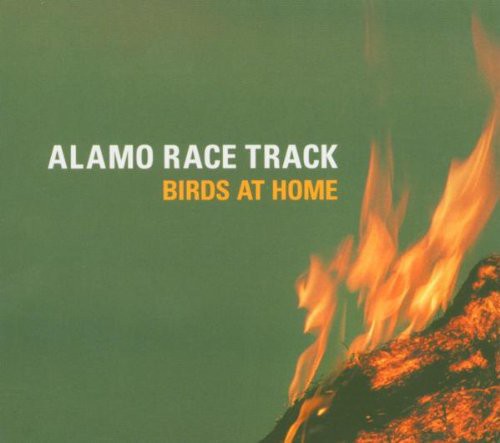 Alamo Race Track - Birds at Home