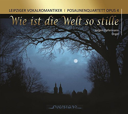 Leipziger Vokalromantiker - Wie Ist Die Welt So Stille