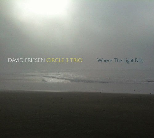 David Friesen / Circle 3 Trio - Where the Light Falls