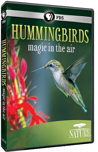 Nature: Hummingbirds: Magic in the Air