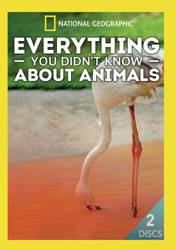 Everything You Didn't Know About Animals