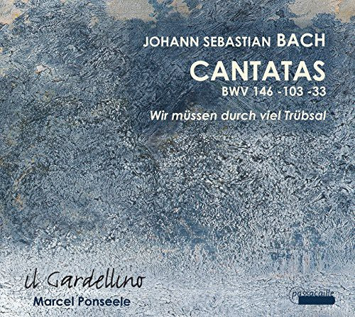 Bach/ Il Gardellino/ Ponseele - Cantatas BWV 146 103 & 33