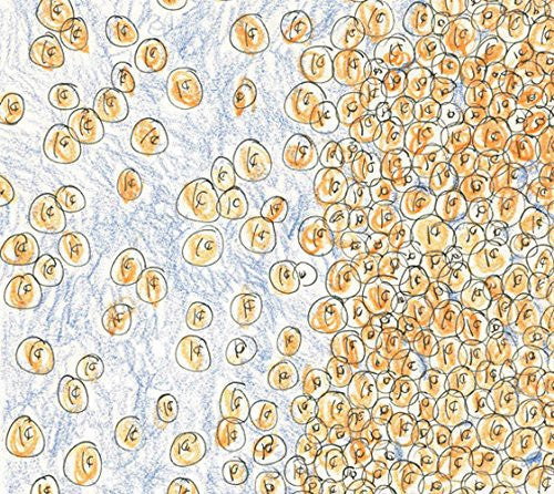 David Greenberger & Dozens - Greenberger, David & Dozens : Near the Edge of the Penny Jar Spill