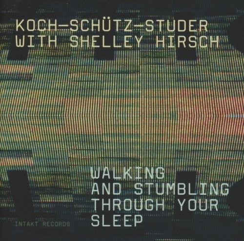 Hans Koch - Walking Stumbling Sleep