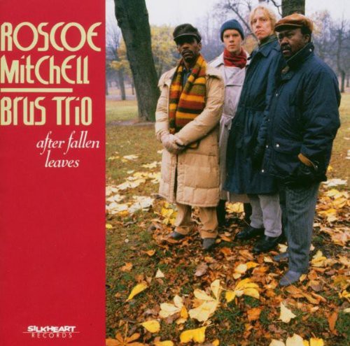 Roscoe Mitchell - After Fallen Leaves