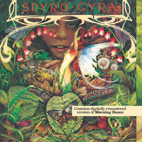 Spyro Gyra - Morning Dance