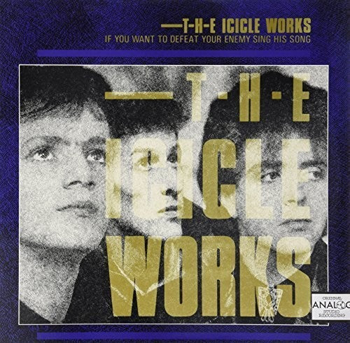 Icicle Works - If You Want to Defeat Your Enemy