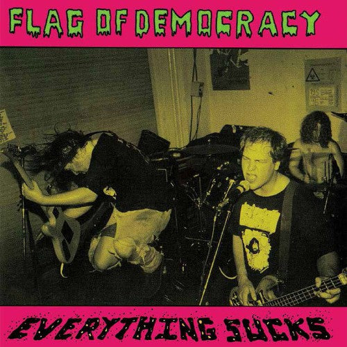 Flag of Democracy - Everything Sucks