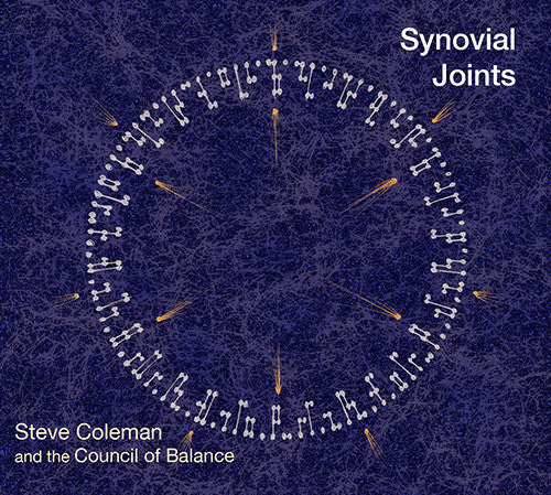 Steve Coleman & Council of Balance - Synovial Joints