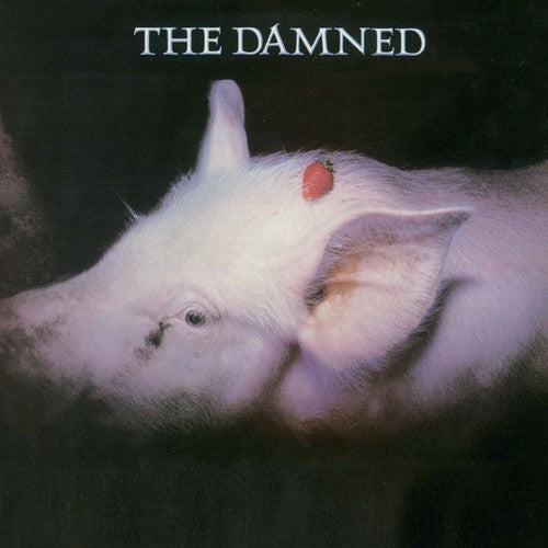 Damned - Strawberries