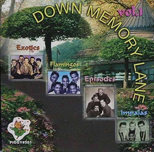 Various Artists - Down Memory Lane V1 24 Cuts