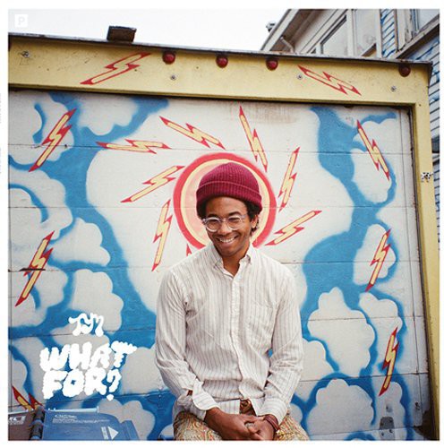 Toro y Moi - What for