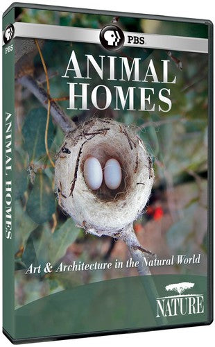 Nature: Animal Homes