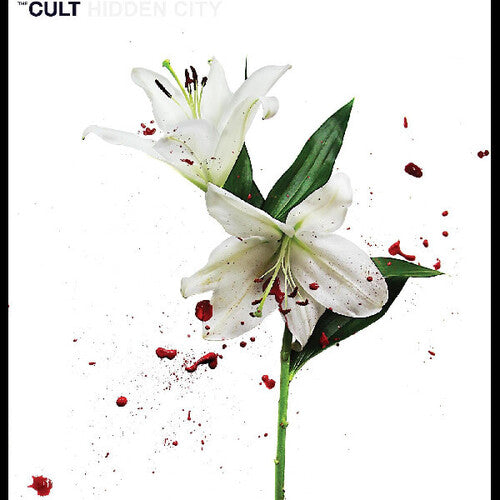 Cult - Hidden City