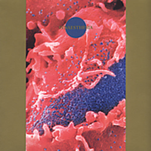 Death Ambient - Synaesthesia