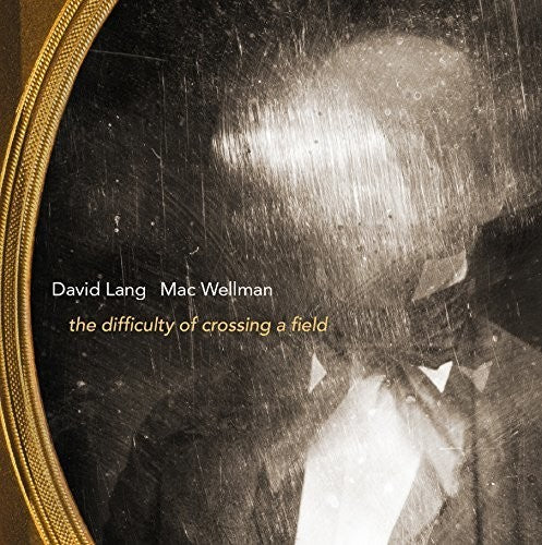 Lang/ Lang/ Wellman - Difficulty of Crossing a Field
