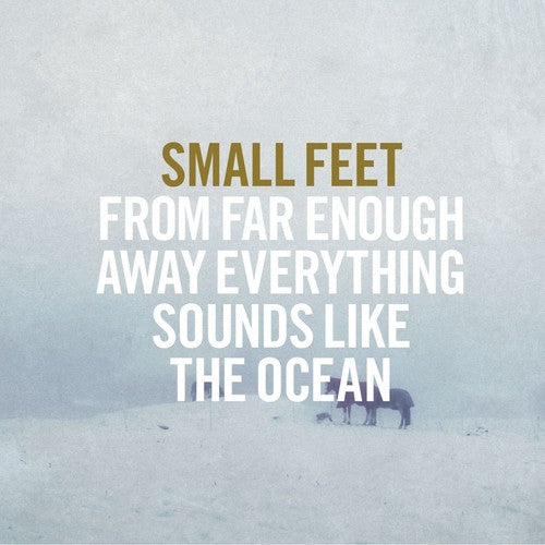 Small Feet - From Far Enough Away Everything Sounds Like