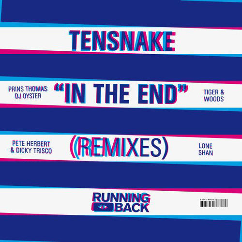 Tensnake - In the End (Remixes)