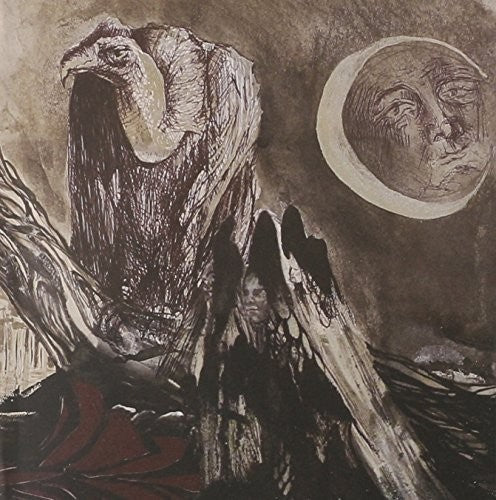 False - Untitled
