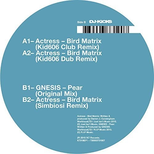 Actress - Bird Matrix (Remixes)