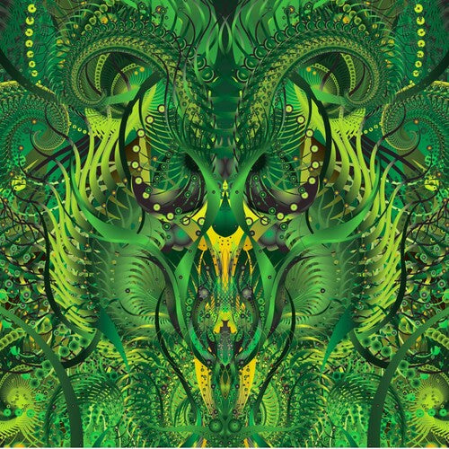 Blind Idiot God - Before Ever After