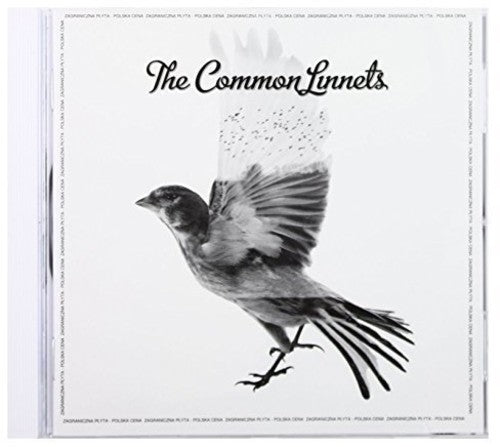 Common Linnets - Common Linnets