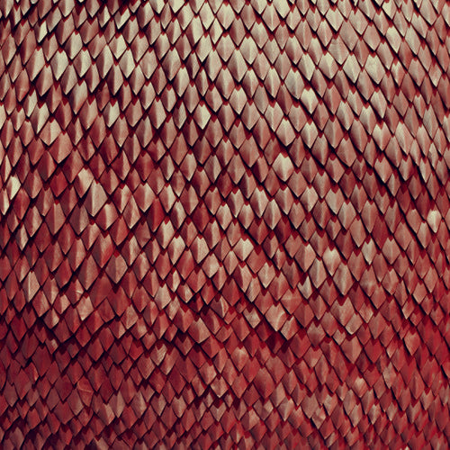 Kill the Vultures - Carnelian