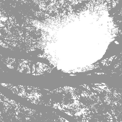 Comets on Fire - Field Recordings From The Sun