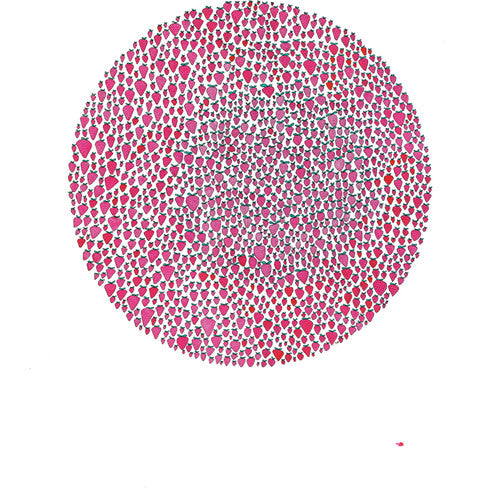 Julia Brown - An Abundance of Strawberries