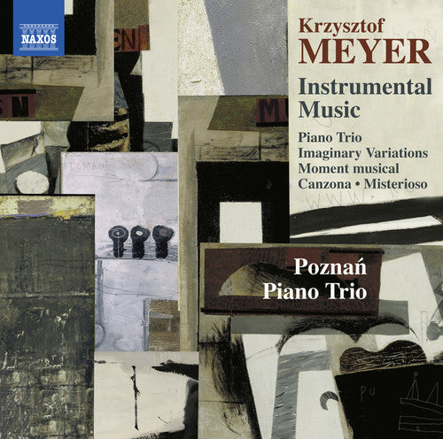 Meyer/ Poznan Piano Trio - Meyer: Instrumental Music